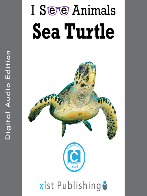 Title details for Sea Turtle by August Hoeft - Available